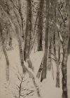 Arbres